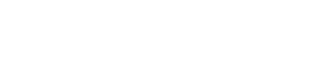 NAFA UAS Logo